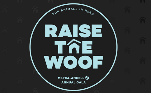 Support Raise the Woof