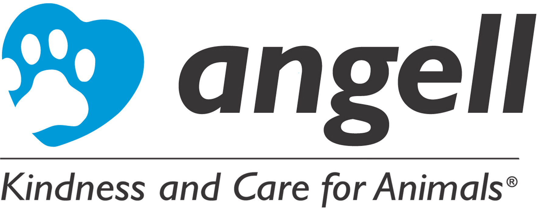 Angell logo
