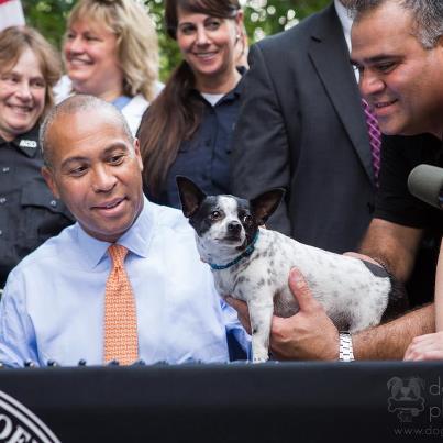 Gov Patrick signs animal control bill