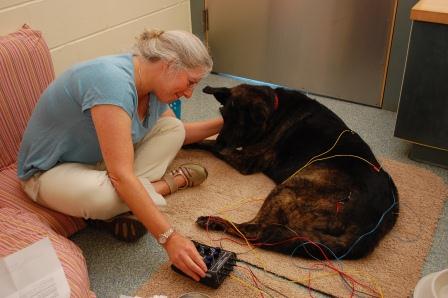 Dr. Lisa Moses and canine patient