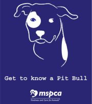Pit Bull Logo