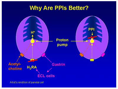 Comparison of mechanism of action between H2RAs and PPIs.