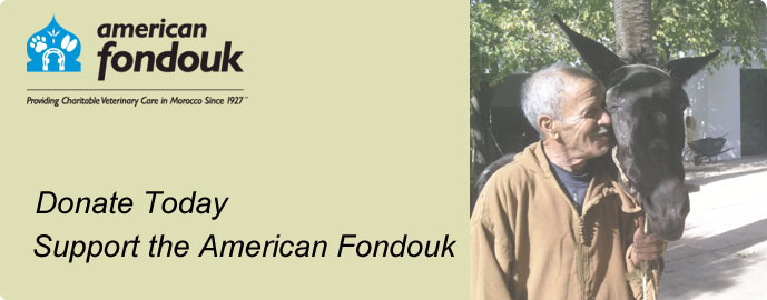 Fondouk Donation Header