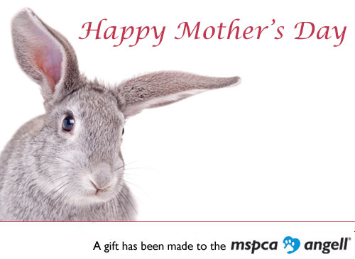 Ecard Mothers Day Rabbit
