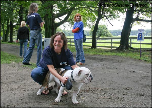 Rocky (now Enzo) the Bulldog with Volunteer