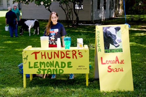 Setting up Thunder's Lemonade Stand