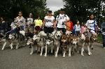 Boston Snow Dogs again turned out in support of the MSPCA-Angell