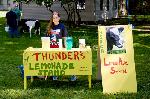 Setting up Thunder's Lemonade Stand