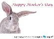 Mother's Day Ecard - Rabbit
