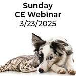 Click here for more information about 3/23/2025 Angell Sunday CE Live Webinar